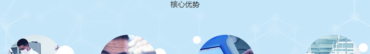 k8凯发网络网页设计