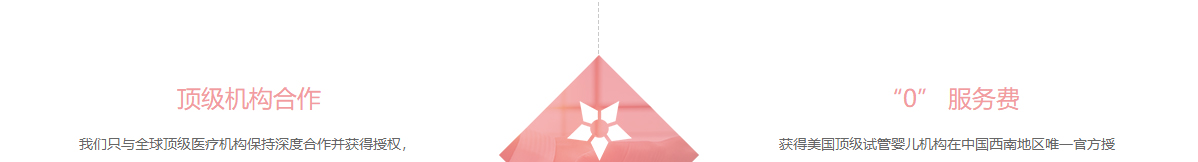 k8凯发网络网站案例