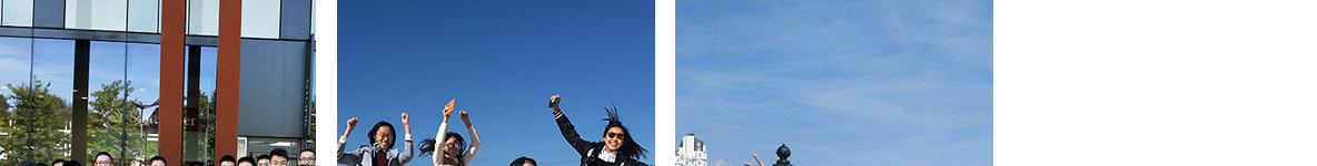 k8凯发网络网站案例