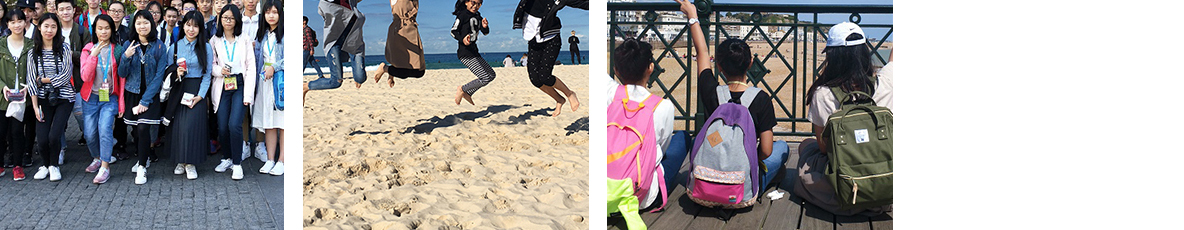 k8凯发网络网站案例