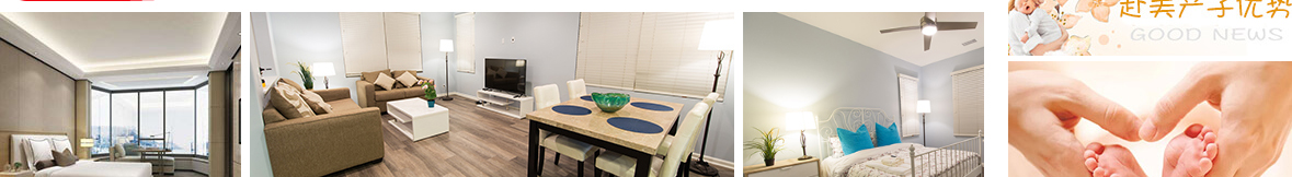 k8凯发网络网站案例