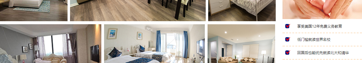 k8凯发网络网站案例