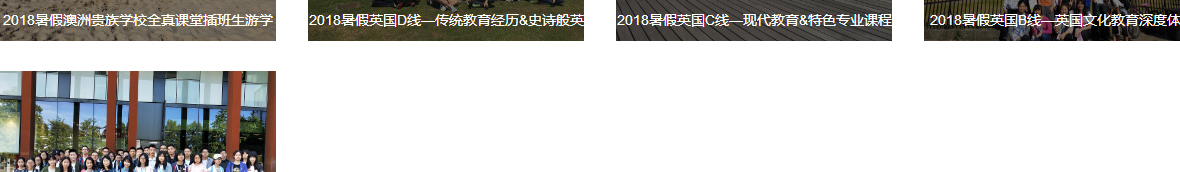 k8凯发网络网站案例