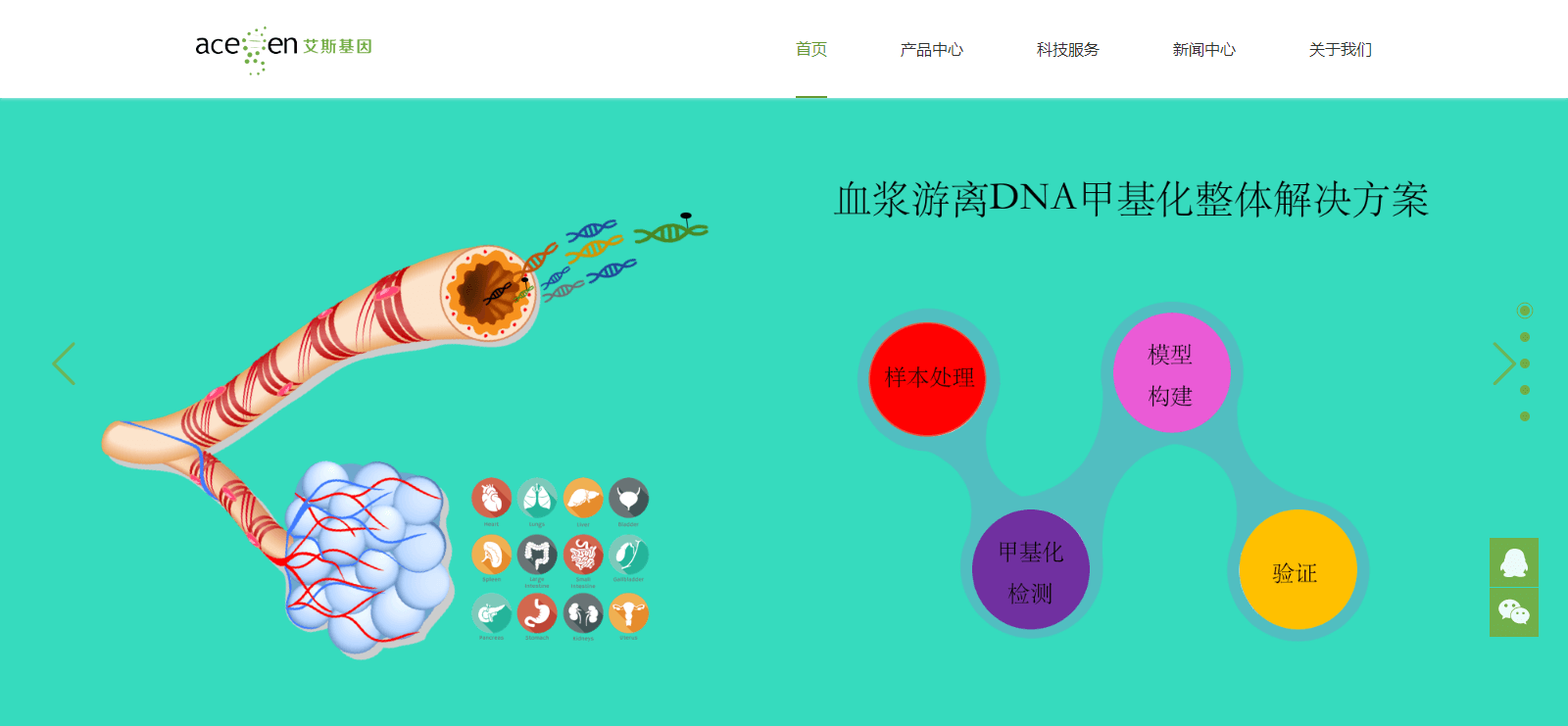 k8凯发网络案例效果图 艾斯基因页面设计效果图