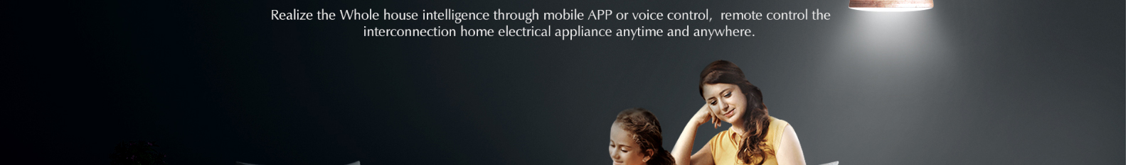 k8凯发网络网站案例