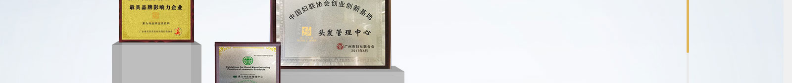 k8凯发网络网站案例