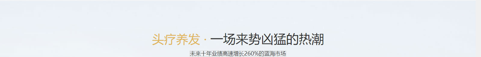 k8凯发网络网站案例