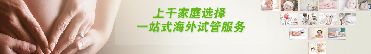 k8凯发网络网站案例