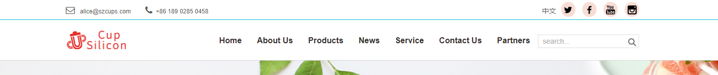 卡布硅胶网站设计效果图 k8凯发网络网站案例