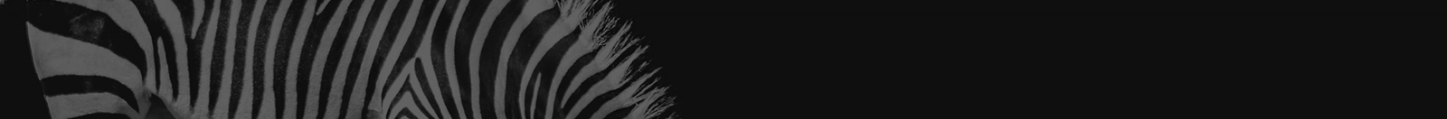 k8凯发网络网站案例