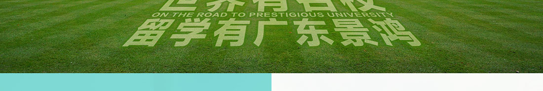 k8凯发网络网站案例